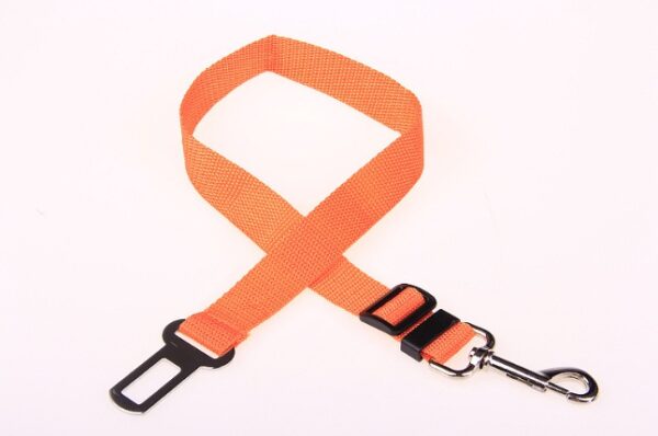 Fixed Strap Polyester Dog Strap - Image 8