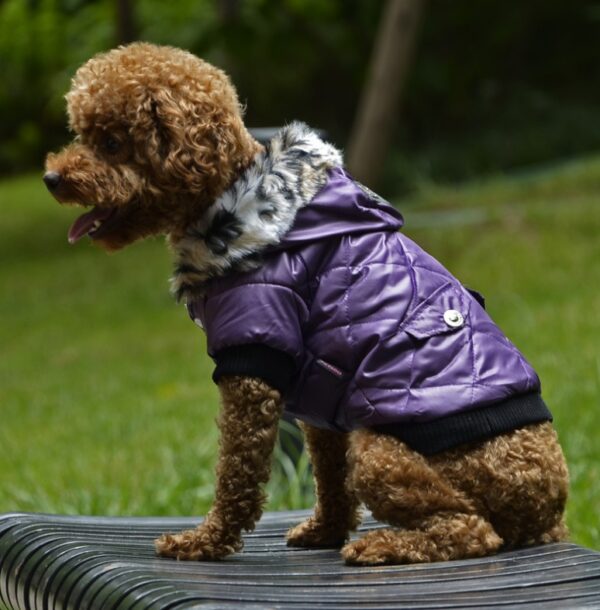 Fur collar coat pet dog clothing - Image 3