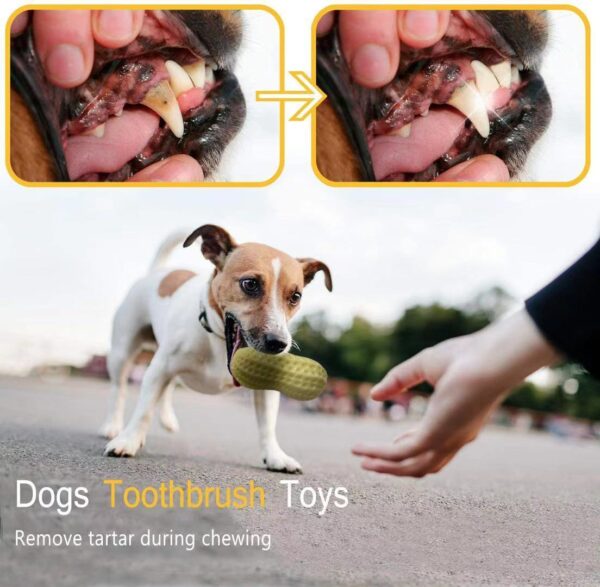 Pet Dog Squeaky Bite Resistant Puppy Toy - Image 7