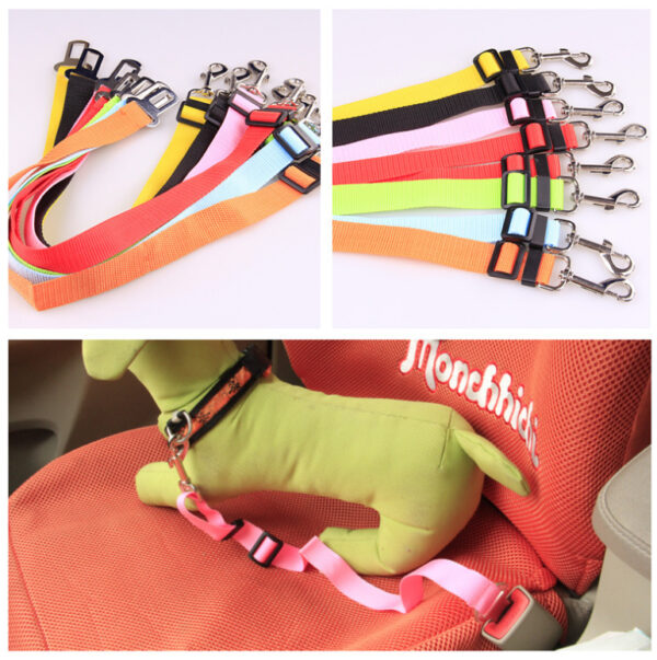 Fixed Strap Polyester Dog Strap - Image 4