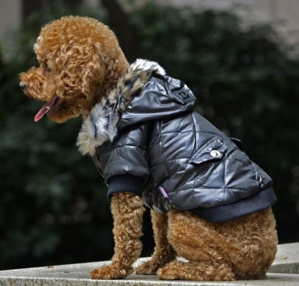 Fur collar coat pet dog clothing - Image 2