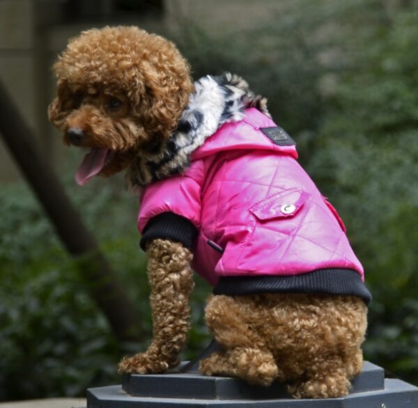 Fur collar coat pet dog clothing - Image 4