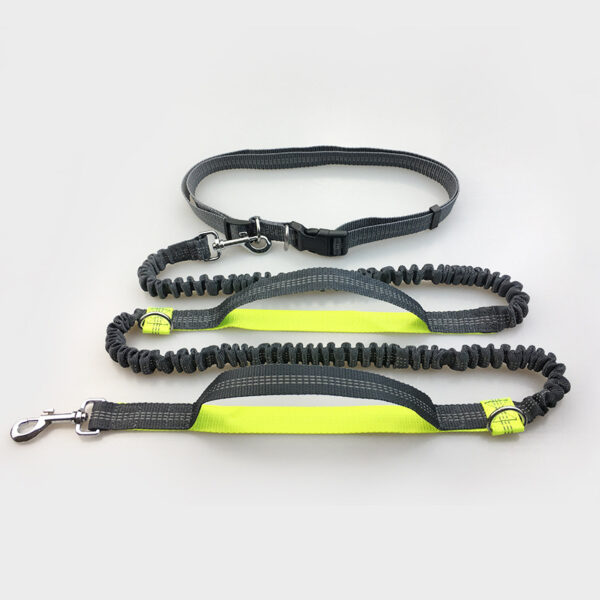 Amazon direct pet multi-function running reflective - Image 5