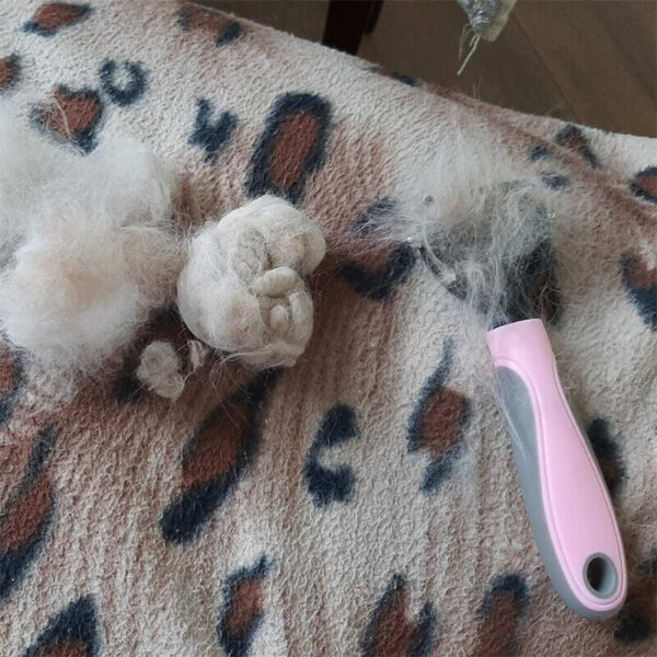 Grooming Brush For Pet Dog - Image 10